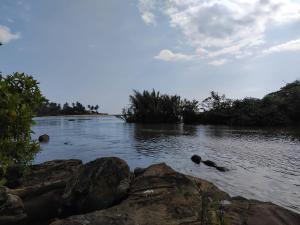 Gin River View Point