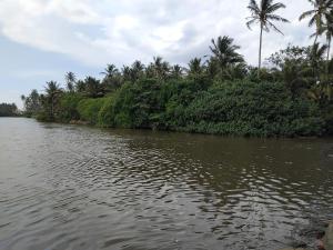 Gin River View Point