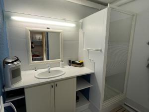 Charmant studio cabine sur les pistes à Villard-de-Lans - FR-1-761-51