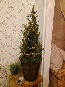 B&B Aan de Hoge Berg