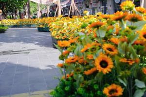 Khu nghỉ dưỡng khoáng nóng LYNN TIMES Thanh Thuỷ Phú Thọ Hotel & Villas