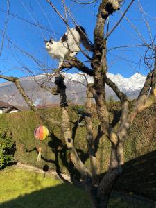 Chez Laurette et Louis