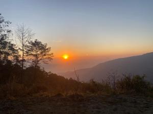 First Nature Homestay