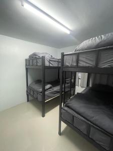 Temple Ready Guesthouse