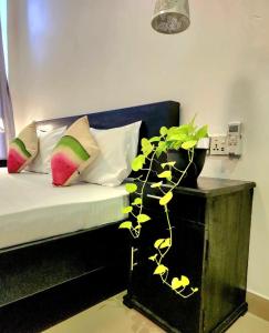 Tiny Villa Homestay - Only For Foreign Bookings