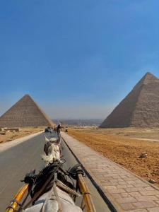 night pyramids view in