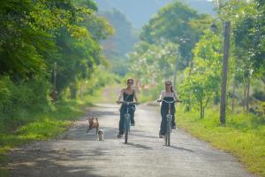 Cuc Phuong National Park Retreat Ninh Binh - Hiking & Adventure Tours