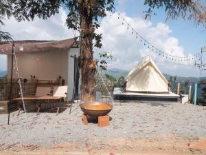 Monjam Camping - ม่อนแจ่ม แคมป์ปิ้ง