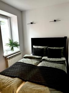 Różana City Apartaments