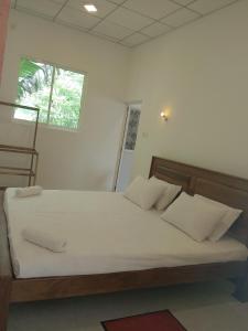 Mystery Trails - Weligama