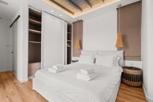 Villa Blanca Elia-Mykonos with private pool