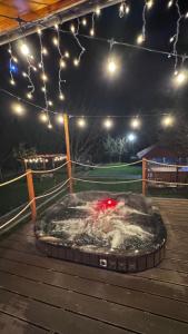 Casa Bucuriei - Plaiul Foii, Zărnești