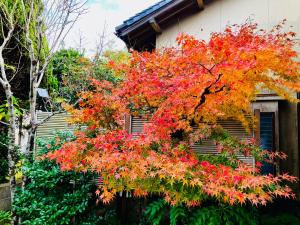 旅庭 福の小径 Fukunokomichi -Path of Happiness-