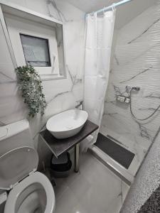 CAMERE de ÎNCHIRIAT DARIA