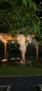 Casa Bucuriei - Plaiul Foii, Zărnești