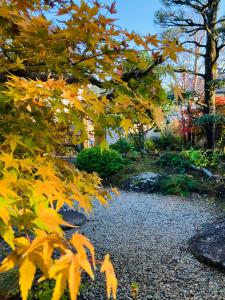 旅庭 福の小径 Fukunokomichi -Path of Happiness-