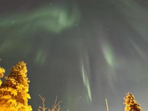 Reindeer Route Apartment