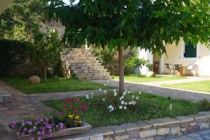 Elaia Houses Messinia Greece