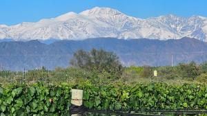 Challet de montana, Malbec