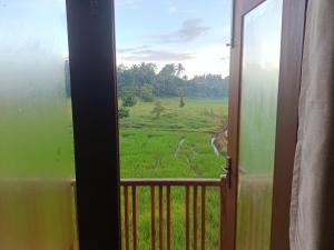 Paddy Edge Ahangama
