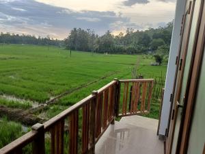Paddy Edge Ahangama