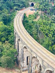 Citadel of Dreams Ella