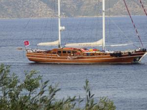 Odyssia near the Seaside Alonissos Greece