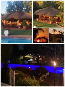 Viva-Africa Zehetleitner