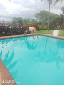 Viva-Africa Zehetleitner