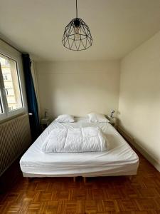 Les Falaises - Appartement proche plage et port à Saint-Valéry-en-Caux