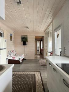 Садиба Кичера