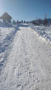 Vacation House Loreta