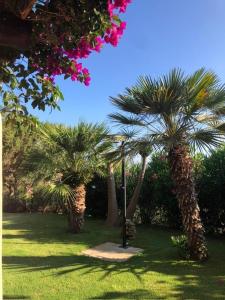 Appartamento Stintino img4