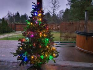 Dom Rodzinny w Okunince Willa Deluxe