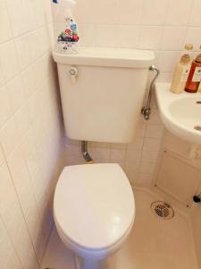 サクラシャドウ白金401