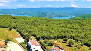 Luxury villa Hedone with pool in Rakalj