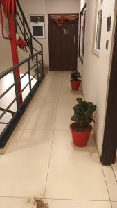 CDS Luxury Homestay Shimla