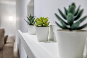 Dream Córdoba Apartment & 2 Dormitorios