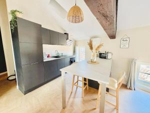 Ravissant Appartement Centre Historique Albi