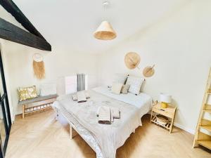 Ravissant Appartement Centre Historique Albi