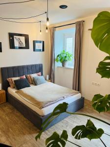 Sweetheart Apartment