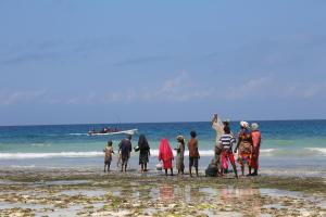 Kizimkazi Mkunguni, Zanzibar, Tanzania, Africa.