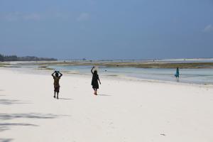 Kizimkazi Mkunguni, Zanzibar, Tanzania, Africa.