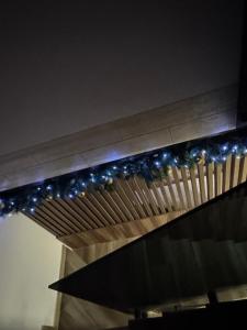 Freedom APARTMAN RUMA