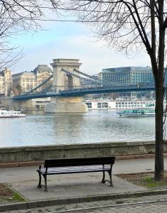 Twin Danube Lofts by Chain Bridge