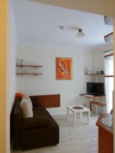 Apartament 210