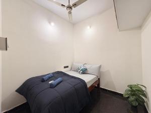 Kamadhenu Homestay, Comapact 2BHK OPP Mysore zoo B