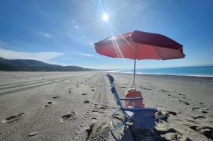 Lime Calabria Apartment