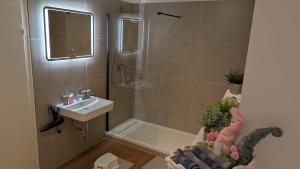 100 qm Raumwunder inmitten der Altstadt