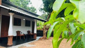 Golden Home Stay